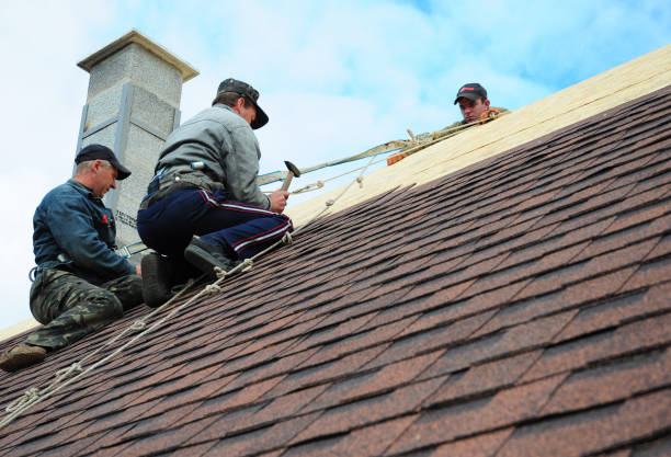 Best Storm Damage Roof Repair  in Palo Cedro, CA