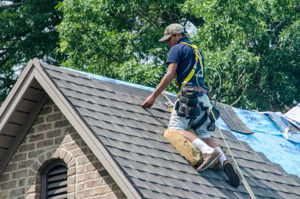 Best Gutter Installation and Roofing  in Palo Cedro, CA